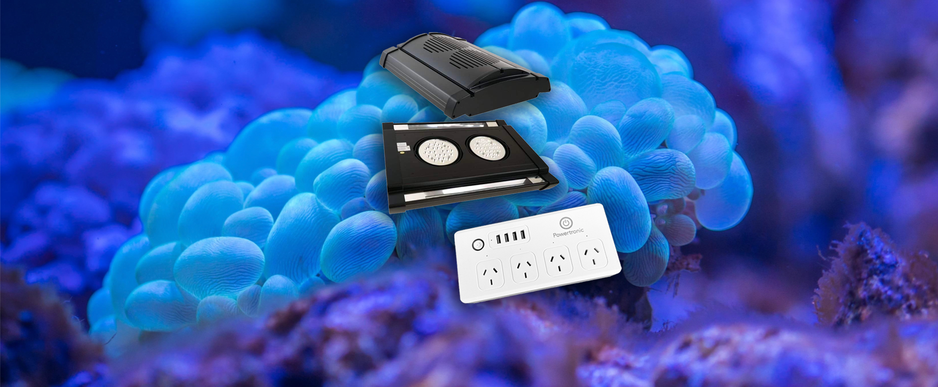 Pt mob 3ae824e9 981c 4960 b201 b30ca41ed55e