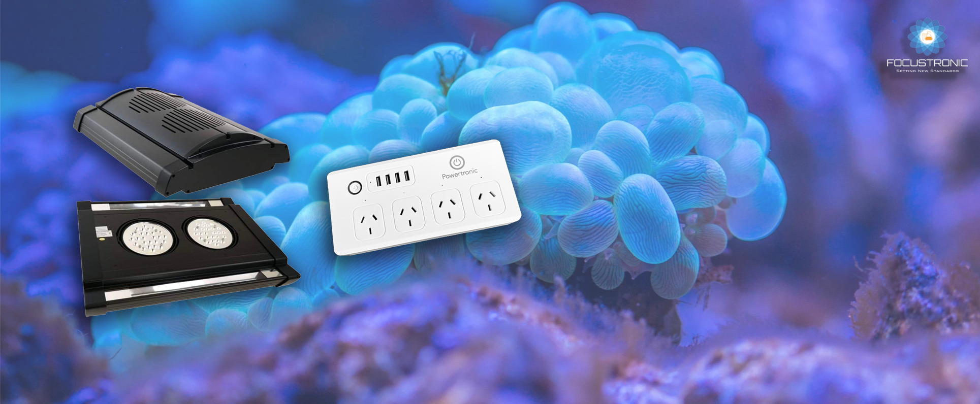 Pt 2461b1bf 8f1c 46d0 84d2 7b6bd71b63ed