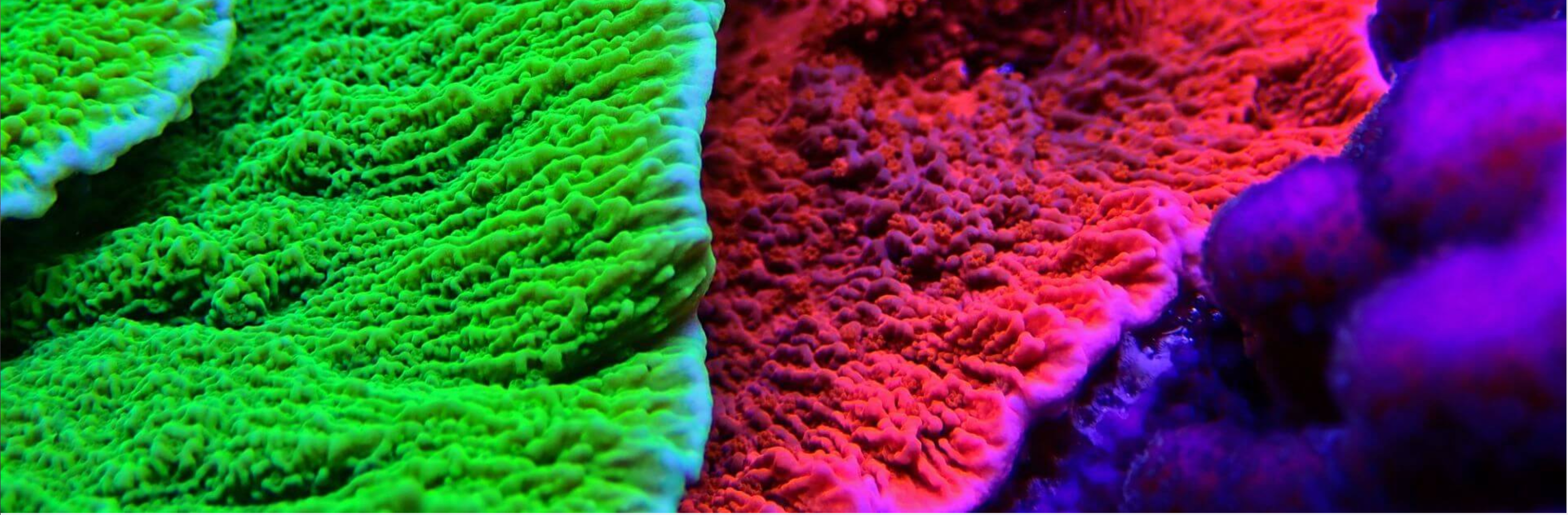 Screen shot 2022 08 08 at 9