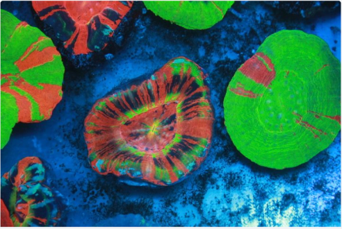 Screenshot 2024 09 22 at 9