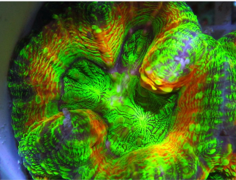 Screenshot 2024 09 22 at 9