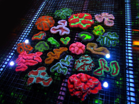 Screenshot 2024 09 22 at 9